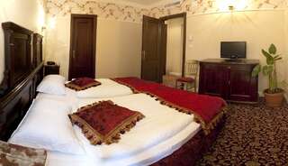 Отель Hotel Boutique Casa del Sole Тимишоара Апартаменты с видом на бассейн-2